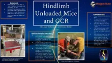 Summary of Biomechanics of Hind-end Loading Techniques for Rodent Microgravity and Lunar Gravity Simulations Poster