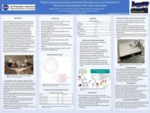 Research poster on genome sequencing of Paenibacillus phoenicis with details on methods, results, and computational tools used for nanopore sequencing.
