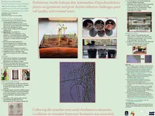 Event poster; details follow in description