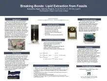 Lipid Extraction from Sedimentary Rock Poster