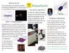 TorqueDucks on Magnetorquers Poster