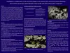 Event poster; details follow in description